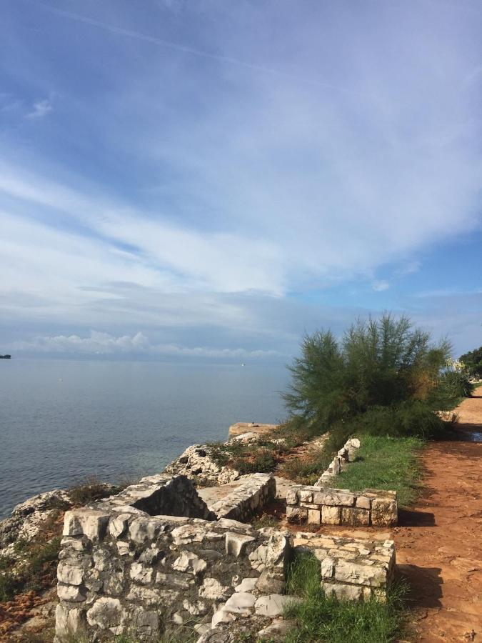 Villa Eva Karigador Novigrad Istria Kültér fotó