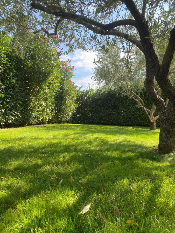 Villa Eva Karigador Novigrad Istria Kültér fotó