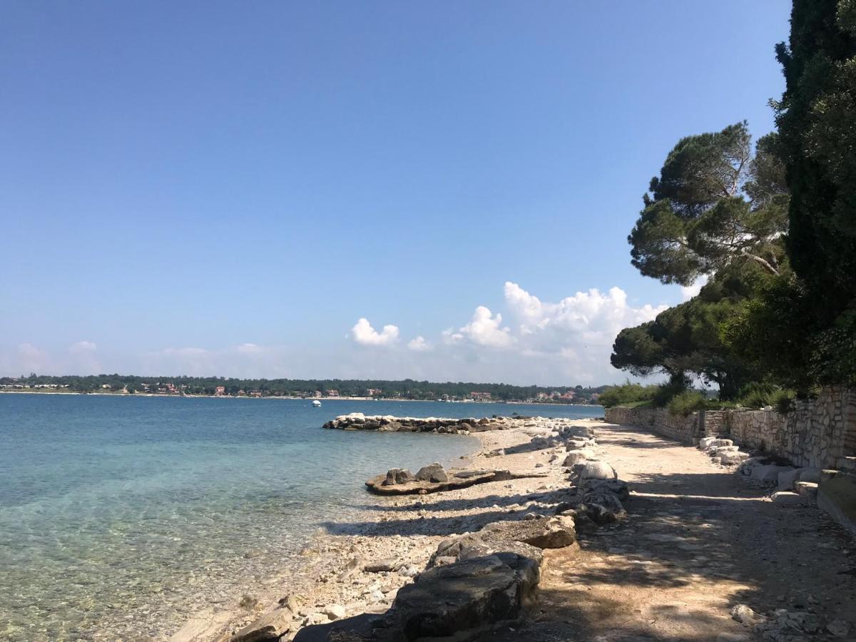 Villa Eva Karigador Novigrad Istria Kültér fotó